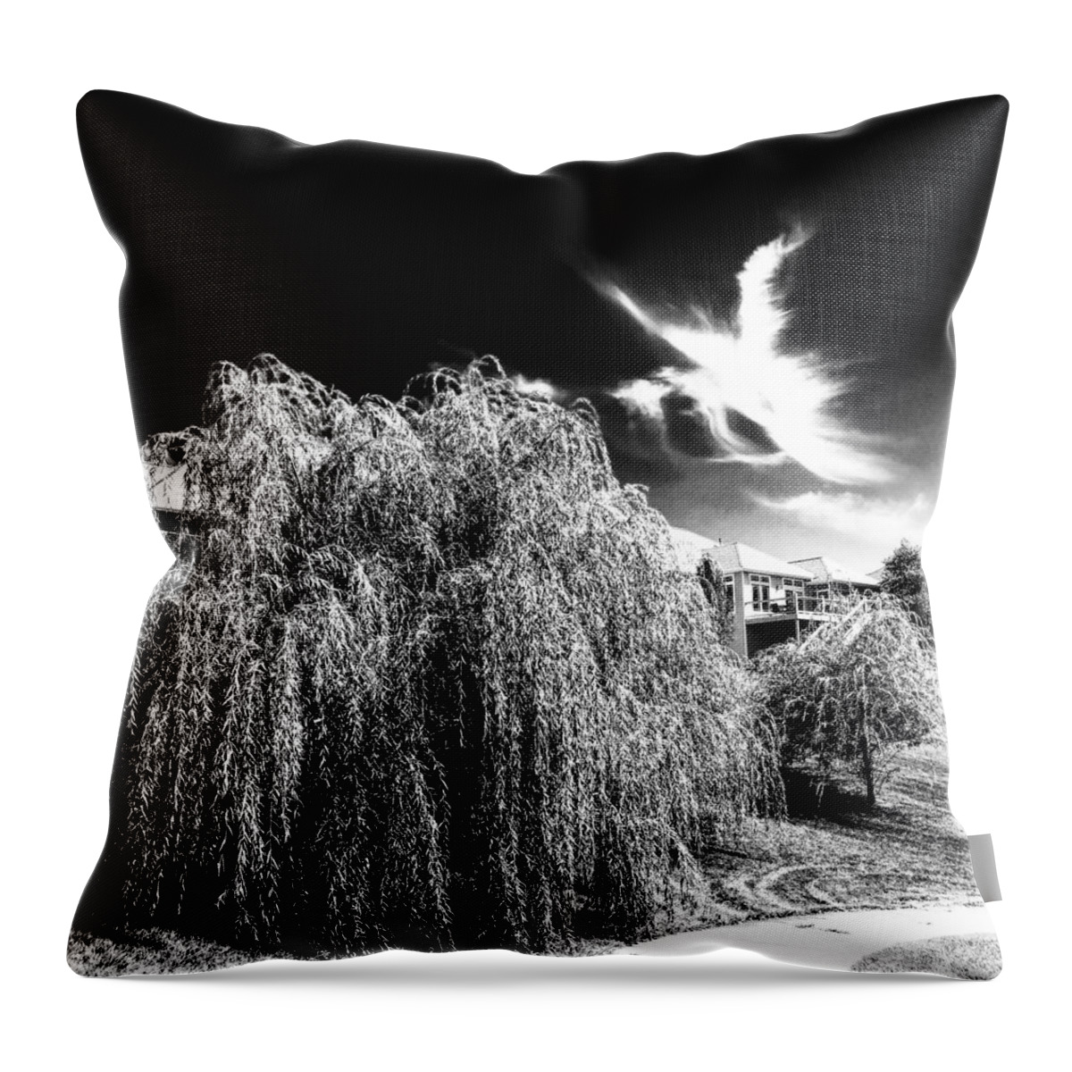 Willow Throw Pillow featuring the digital art Angel in the Sky by Michael Oceanofwisdom Bidwell