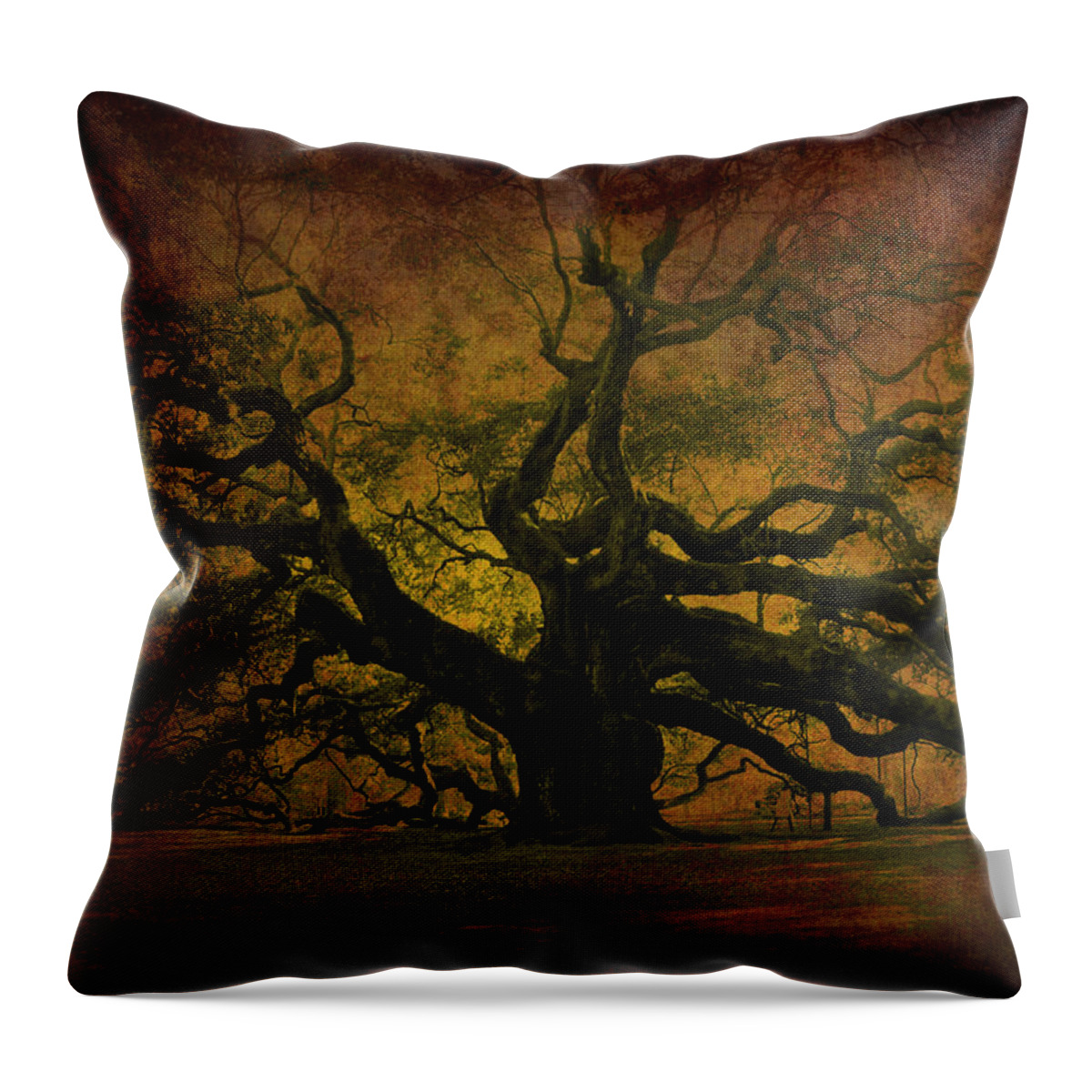 Angel Oak Throw Pillow featuring the photograph Angel Oak 3 Charleston by Susanne Van Hulst