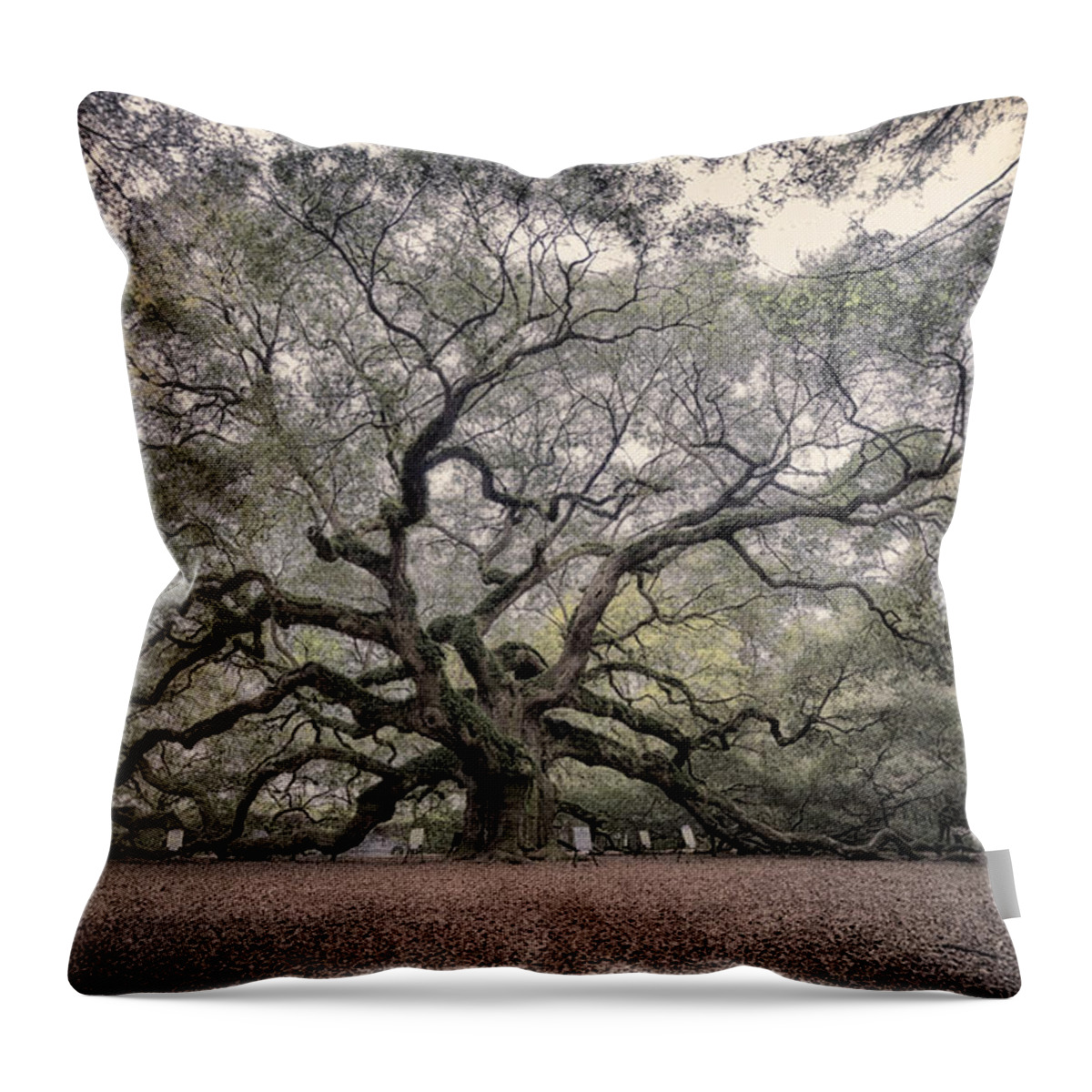 South Carolina Throw Pillow featuring the photograph Angel Oak by Robert Fawcett