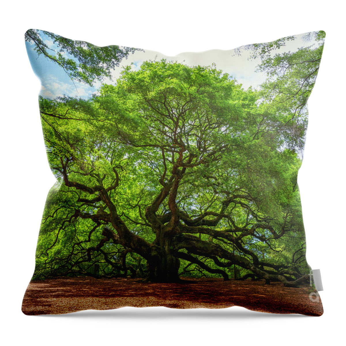 Angel Oak Tree Throw Pillow featuring the photograph Angel Oak Tree in South Carolina by Michael Ver Sprill
