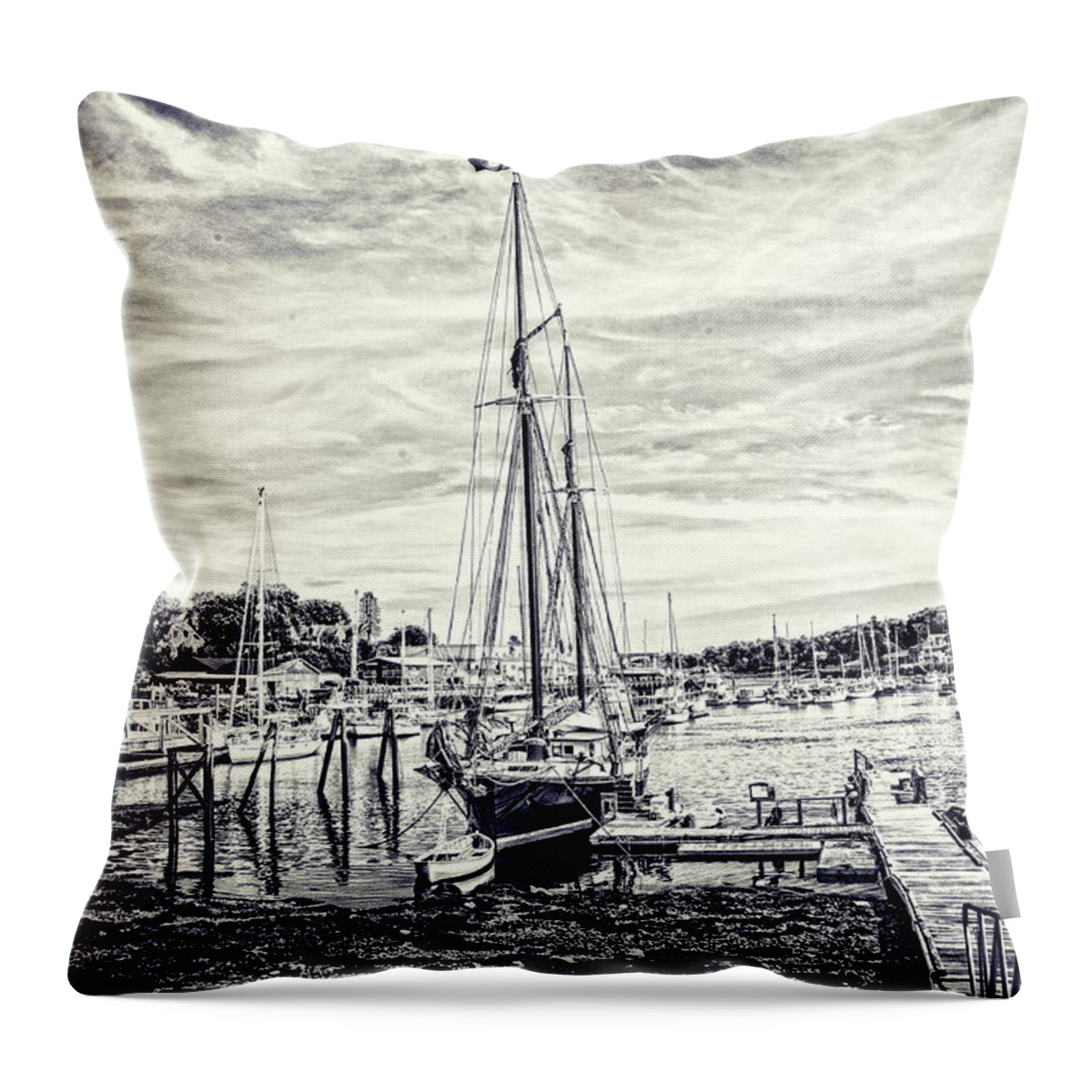 Wind Jammers Throw Pillow featuring the digital art Angelique Resting at Home by Daniel Hebard