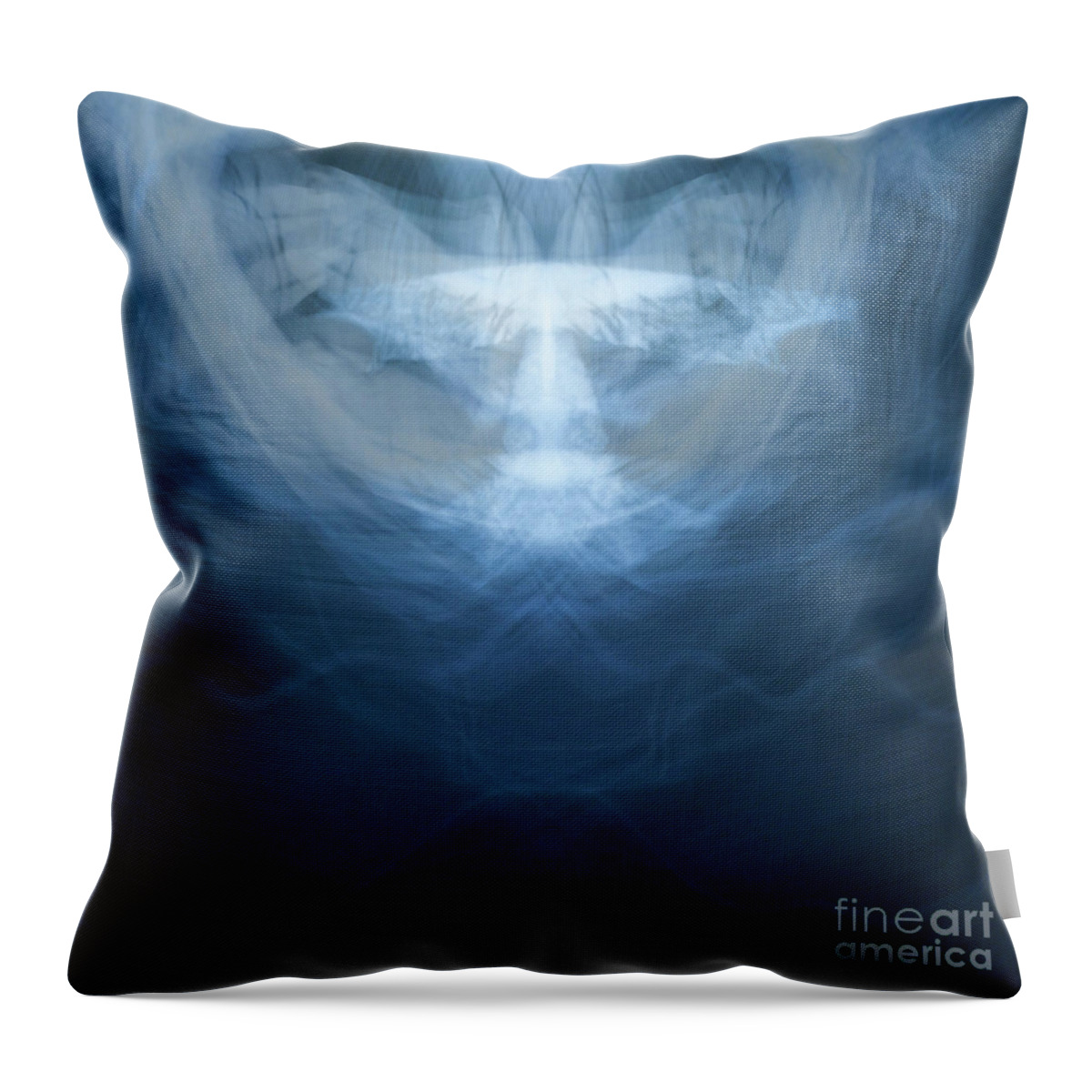 Painting With Light Throw Pillow featuring the photograph AngelLight by Mary Kobet