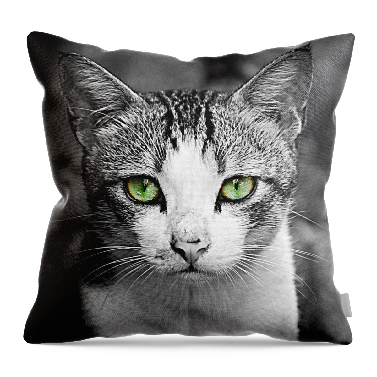 Cat Throw Pillow featuring the photograph Cat by Joe Banx