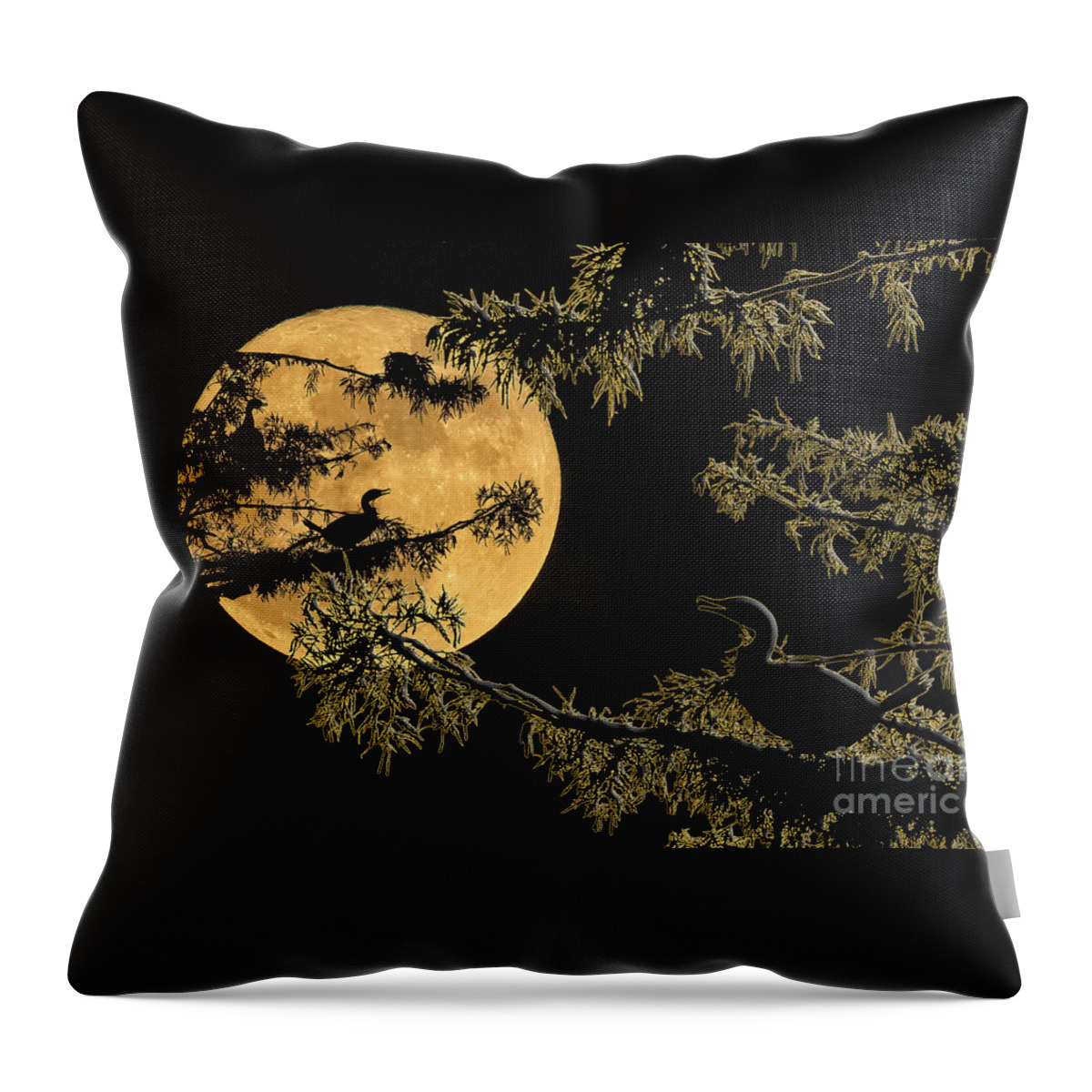 Anhingas Throw Pillow featuring the photograph Anhingas in Full Moon by Bonnie Barry