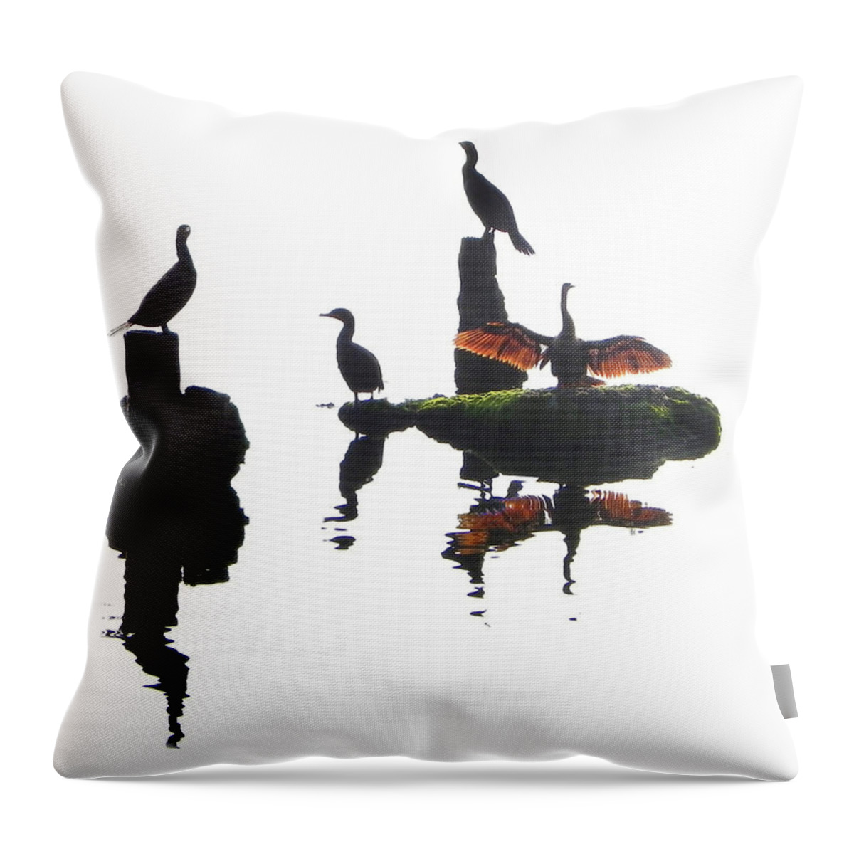Anhingas Throw Pillow featuring the photograph Anhingas Sunning by Frances Miller