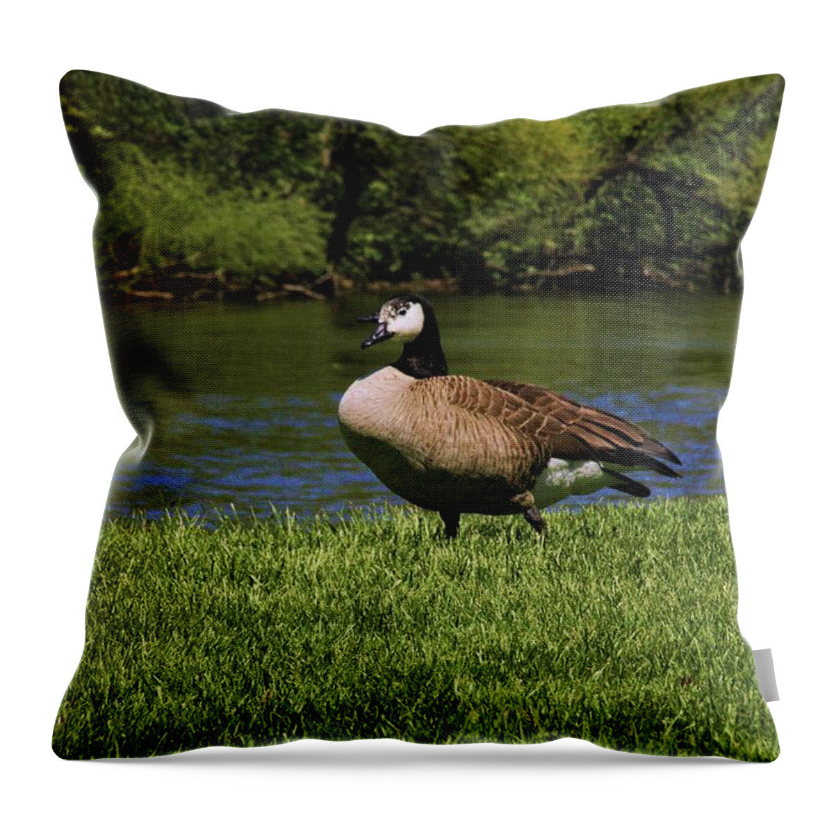 Animals Throw Pillow featuring the photograph Animal 3 by Karl Rose