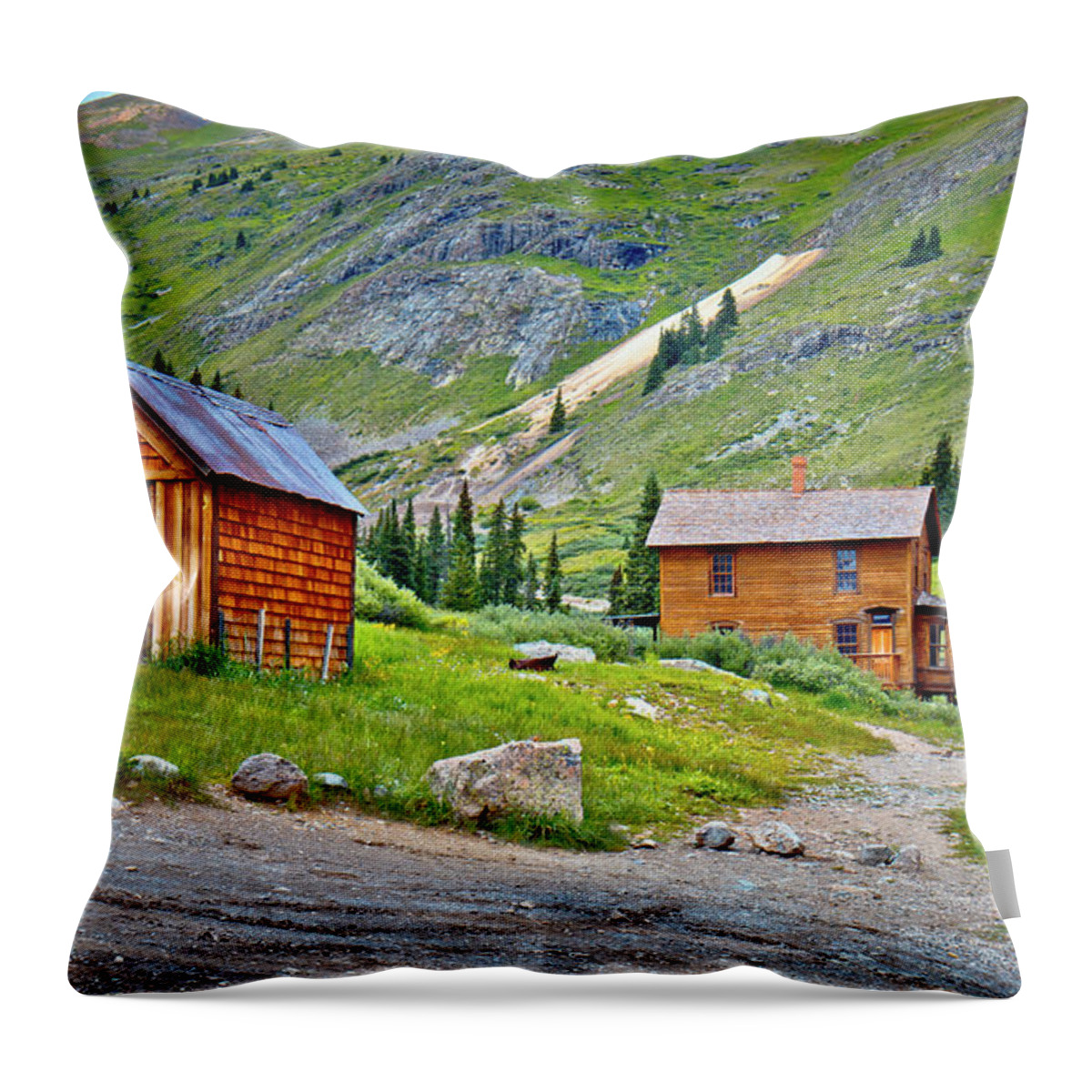 Animas Forks Throw Pillow featuring the photograph Animas Forks Ghost Town by Linda Unger