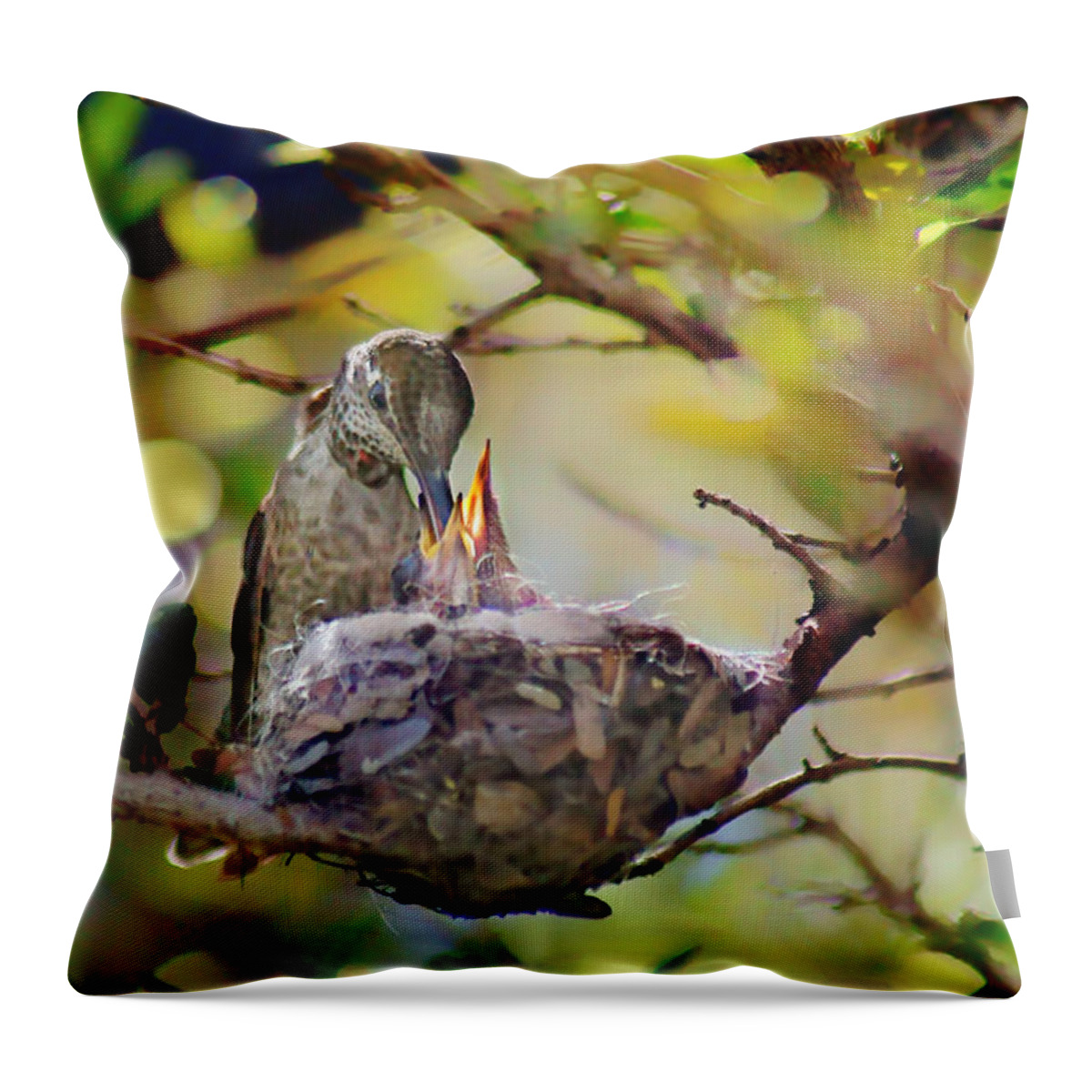 Birds Throw Pillow featuring the photograph Anna's Hummingbirds 2 - Nest by Nikolyn McDonald