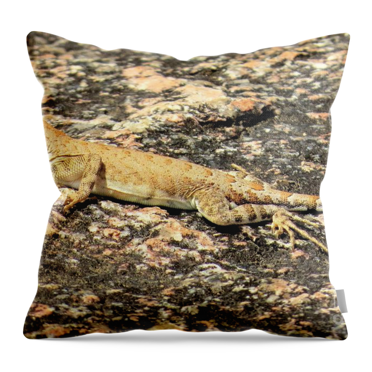 Lizard Throw Pillow featuring the photograph Anole lizard by Frank Townsley