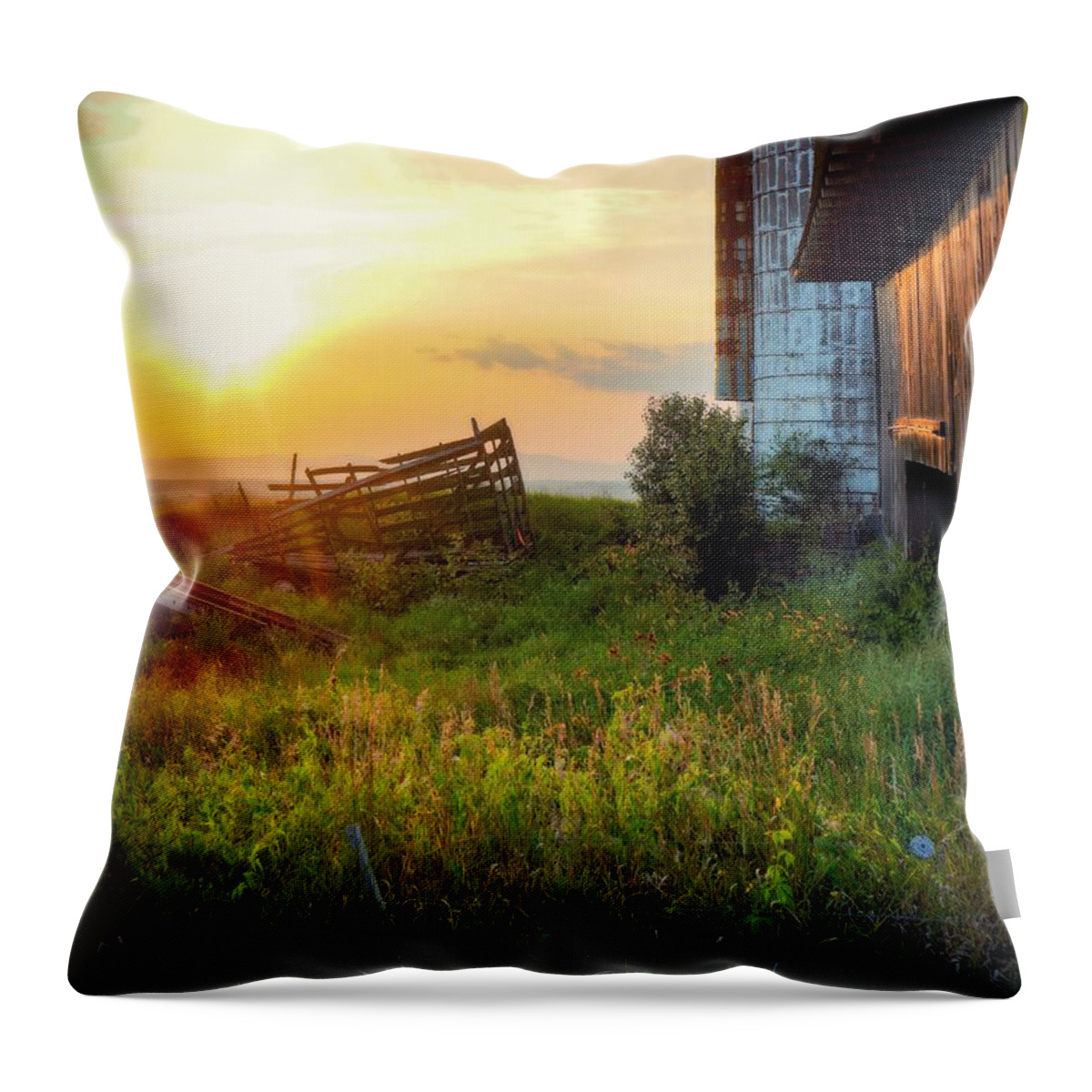  Throw Pillow featuring the photograph Another Beautiful Day by Kendall McKernon