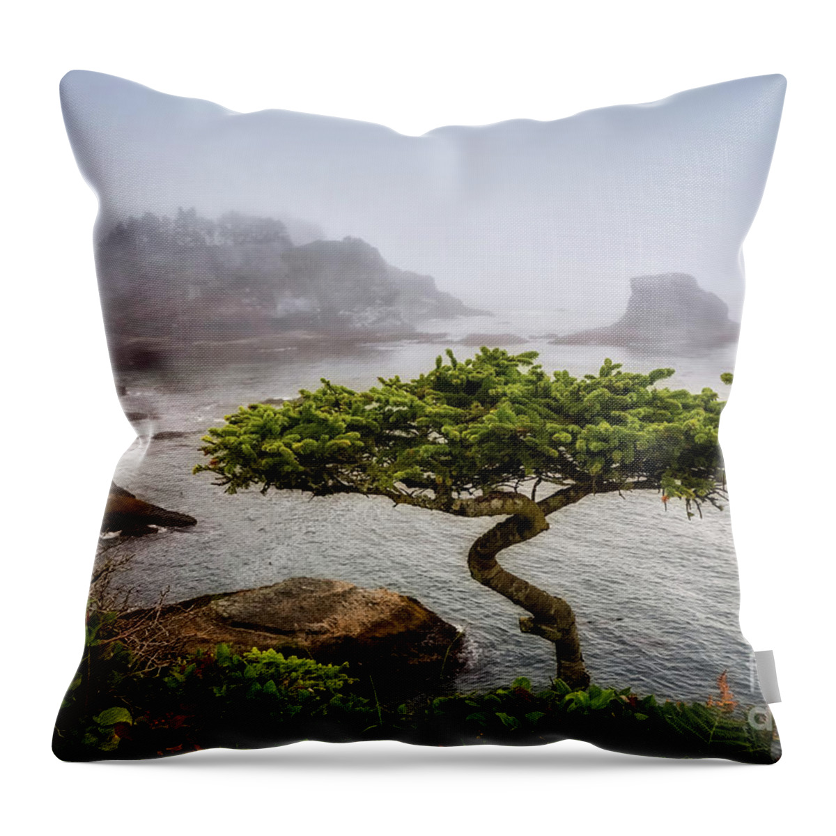 Bonsai Throw Pillow featuring the photograph Another Bonsai by Carrie Cole