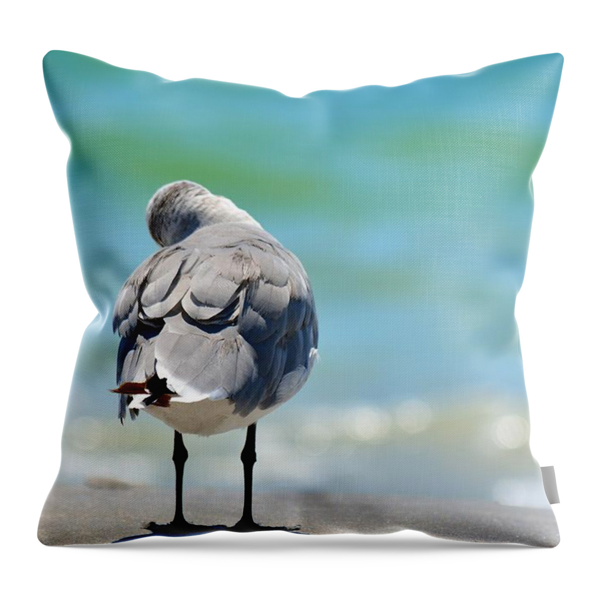 Pigeon Throw Pillow featuring the photograph Another Day Dreamer by Alison Belsan Horton