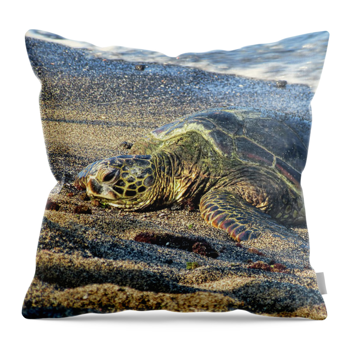 Pamela Walton Throw Pillow featuring the photograph Another Day in Paradise by Pamela Walton