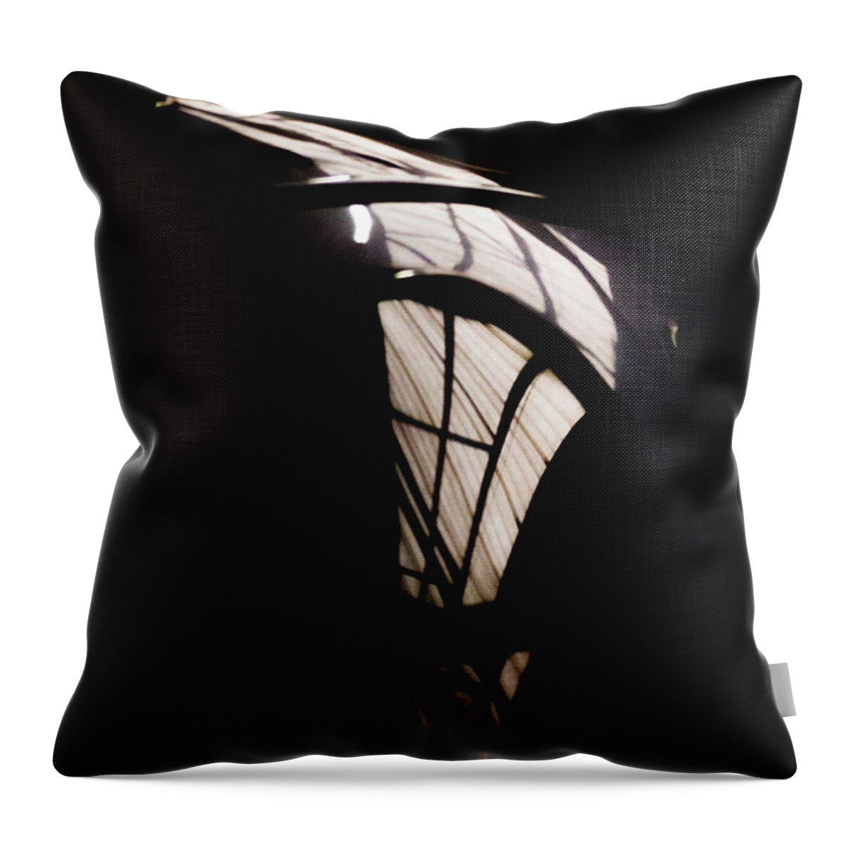 Airbus B3 Throw Pillow featuring the photograph Another Door by Paul Job