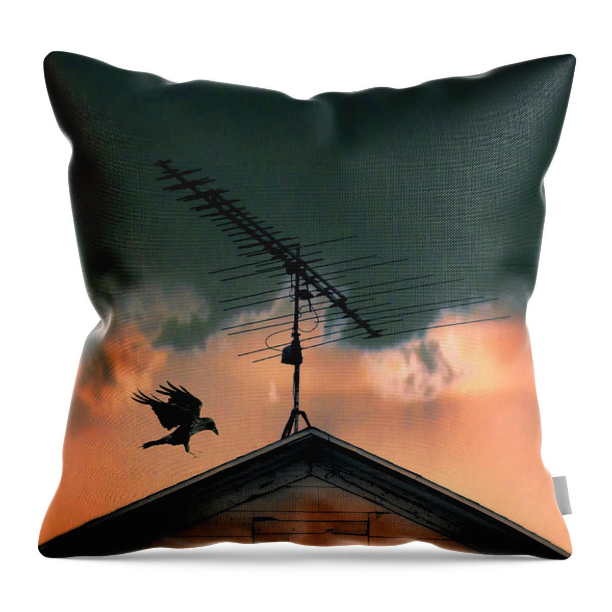 Antenna Throw Pillow featuring the photograph Antenna on Old House with Raven by Jill Battaglia