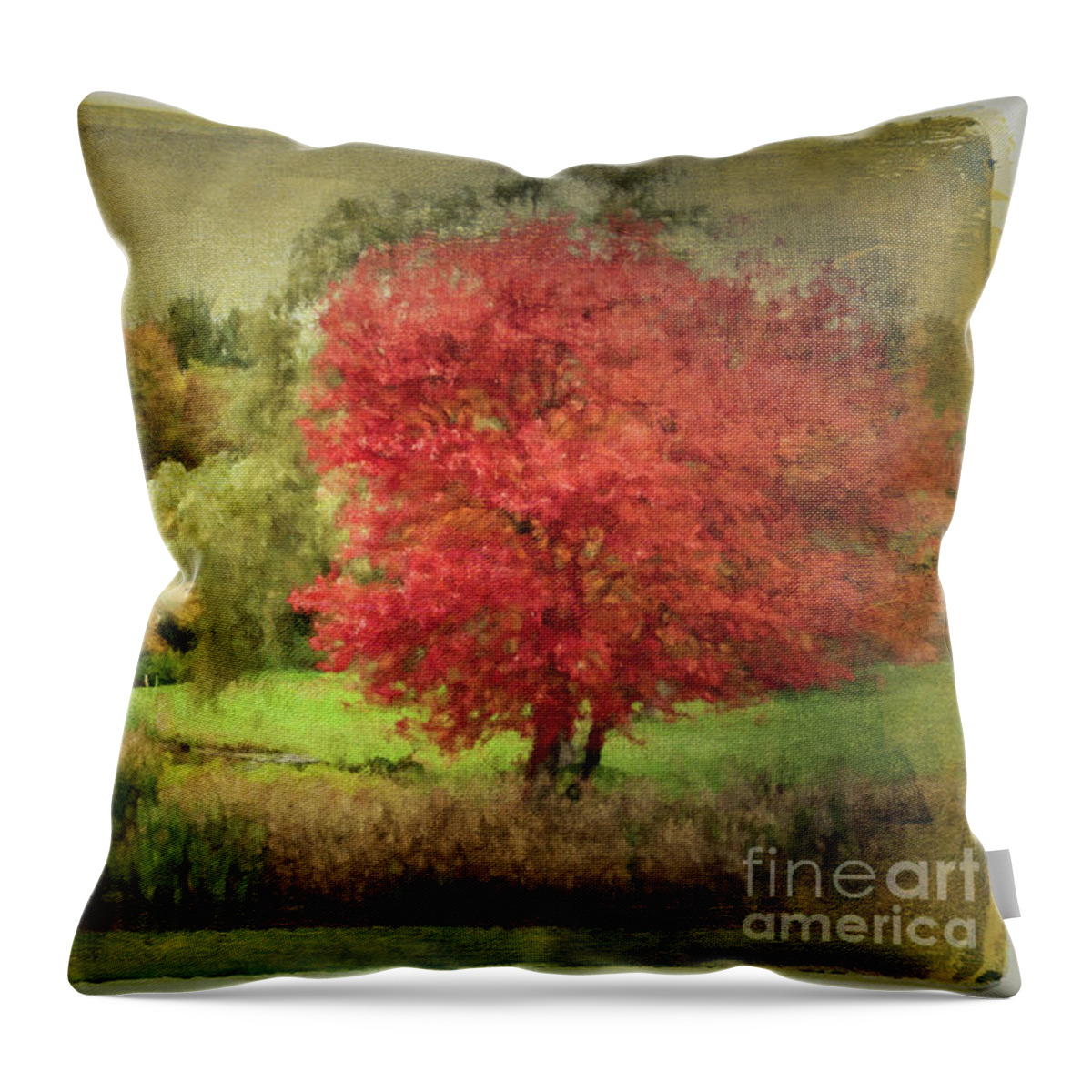Fall Foliage Throw Pillow featuring the photograph Antique Autumn by Anita Pollak