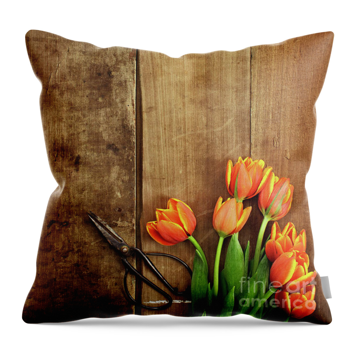 Tulips Throw Pillow featuring the photograph Antique Scissors and Tulips by Stephanie Frey