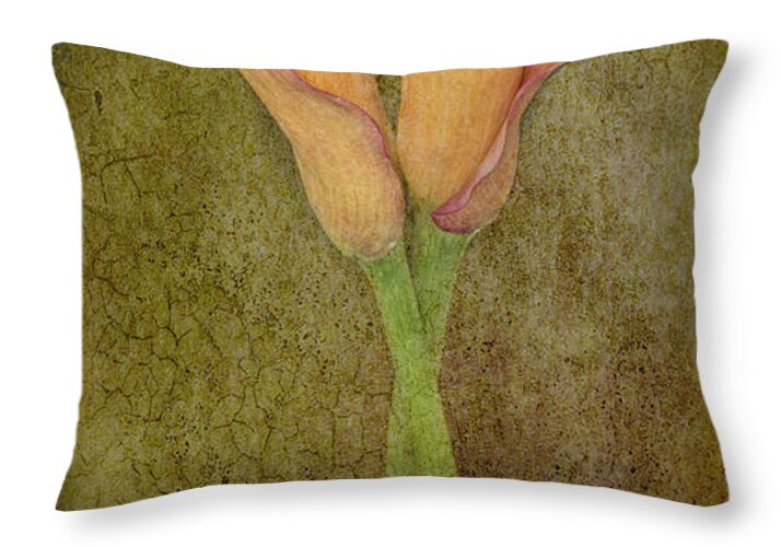 Floral Photography Throw Pillow featuring the photograph Antiqued Lilies by Mary Buck