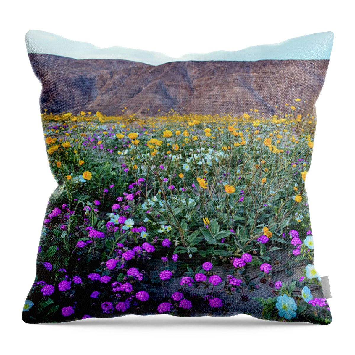 Anza Borrego Desert State Park Throw Pillow featuring the photograph Anza Borrego Desert Super Bloom by Kyle Hanson