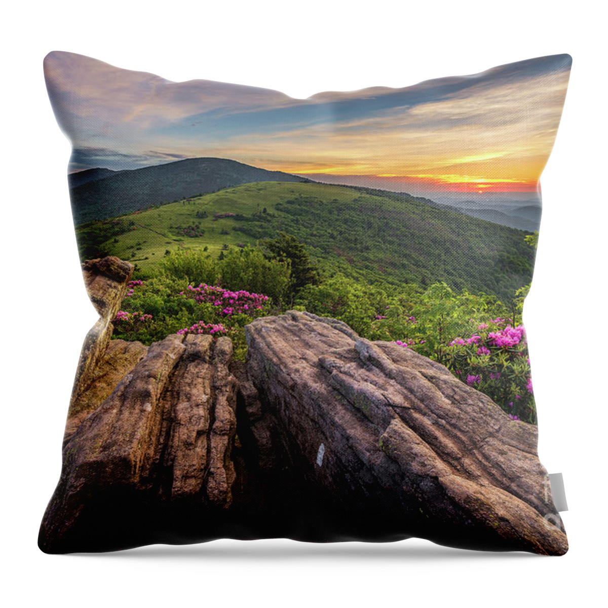 Roan Mountain State Park Throw Pillow featuring the photograph Appalachian Icon by Anthony Heflin