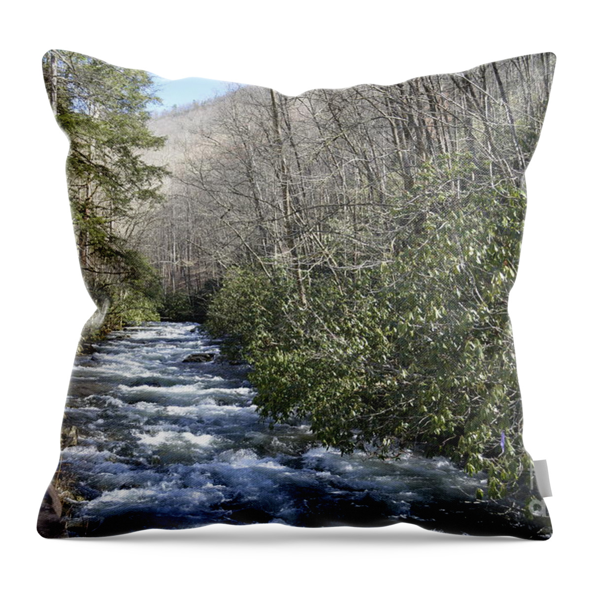 Streams Throw Pillow featuring the digital art Appalachian Mountain Water 2 by Barb Dalton