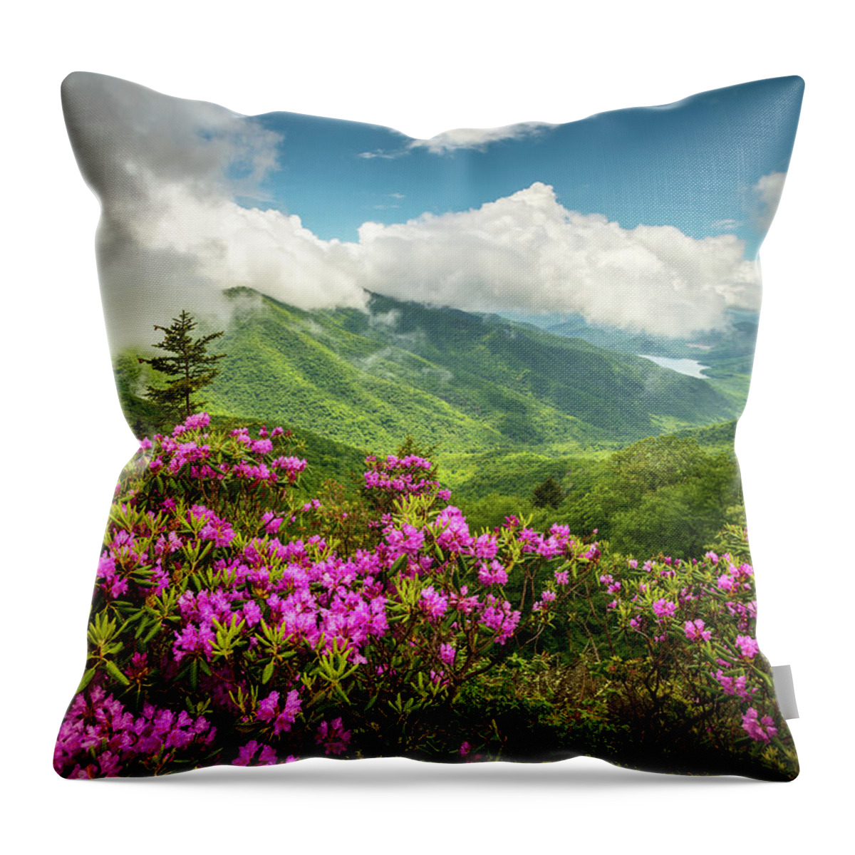 Asheville Throw Pillow featuring the photograph Appalachian Mountains Spring Flowers Scenic Landscape Asheville North Carolina Blue Ridge Parkway by Dave Allen
