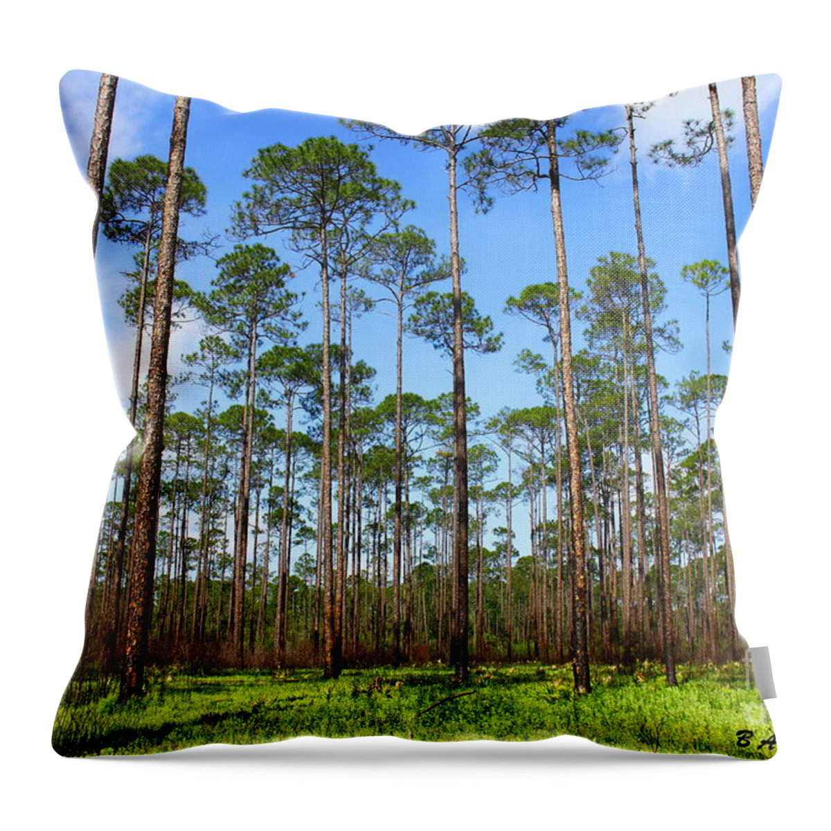 Appalachicola National Forest Throw Pillow featuring the photograph Appalachicola National Forest by Barbara Bowen