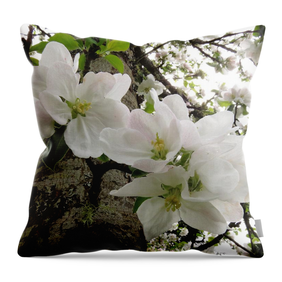 Apple Blossom Throw Pillow featuring the photograph Apple Blossom Time by I'ina Van Lawick