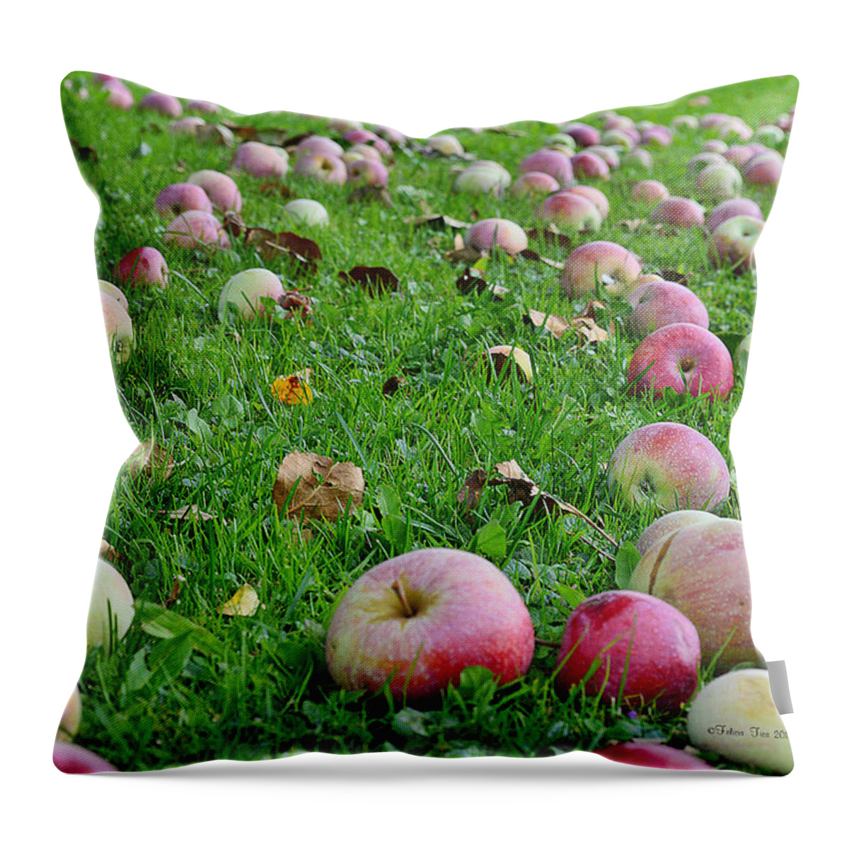 Close-up Throw Pillow featuring the photograph Apple rain by Felicia Tica