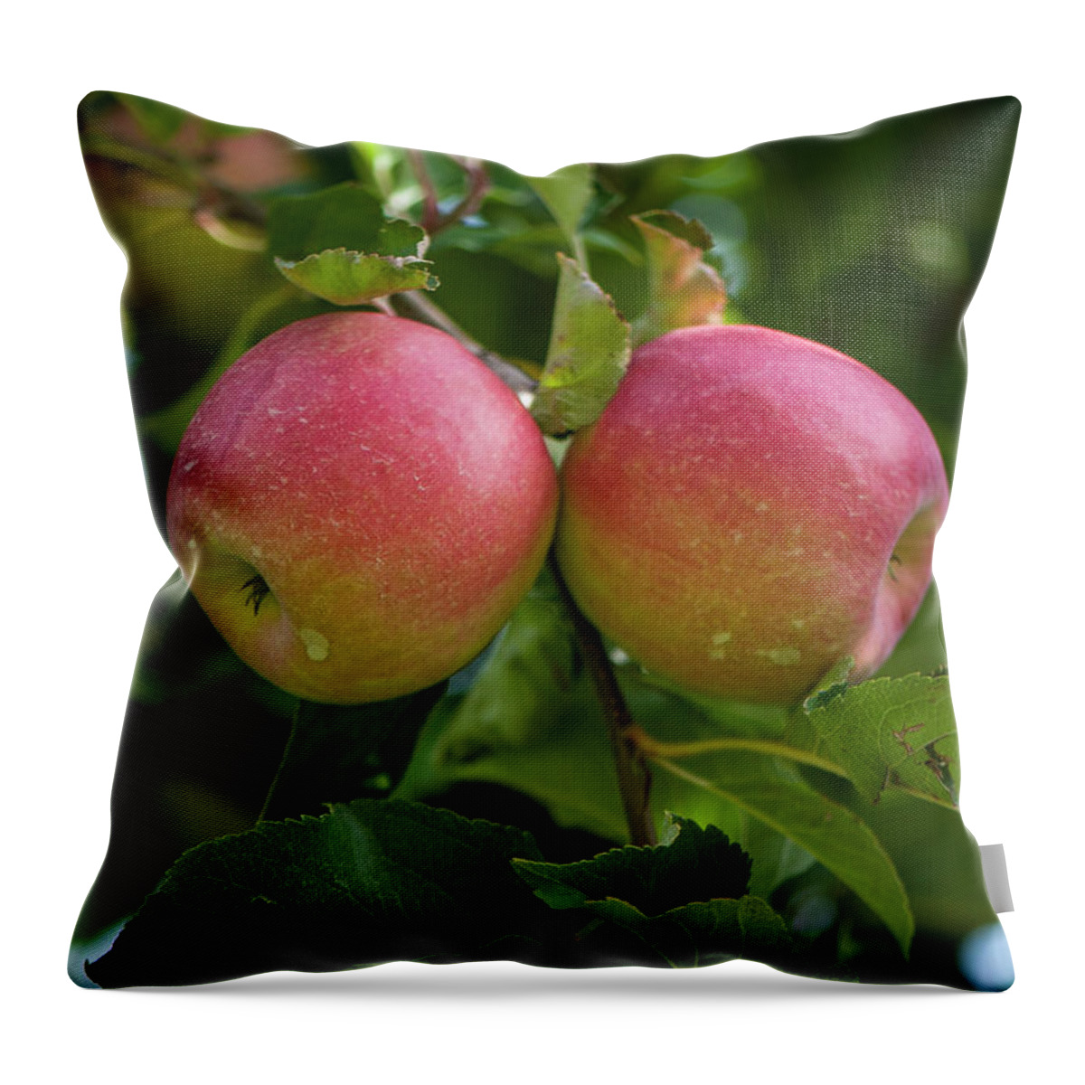 Apple Orchard Throw Pillow featuring the photograph Apple Twins by Brian Green