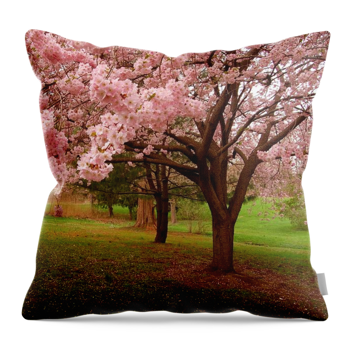 Cherry Blossoms Throw Pillow featuring the photograph Approach Me - Holmdel Park by Angie Tirado