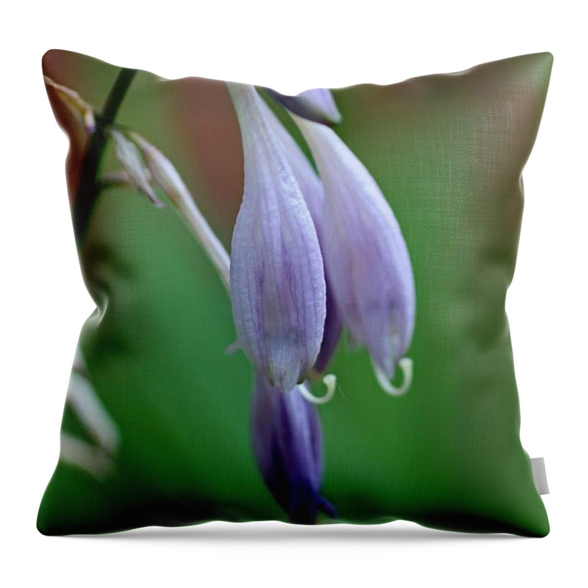 Hosta Throw Pillow featuring the photograph April Ends by Michiale Schneider