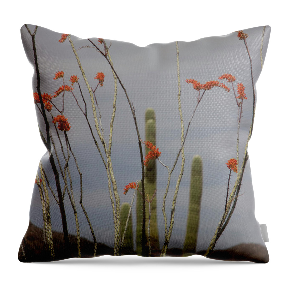  Throw Pillow featuring the photograph April by Eric Rosenwald