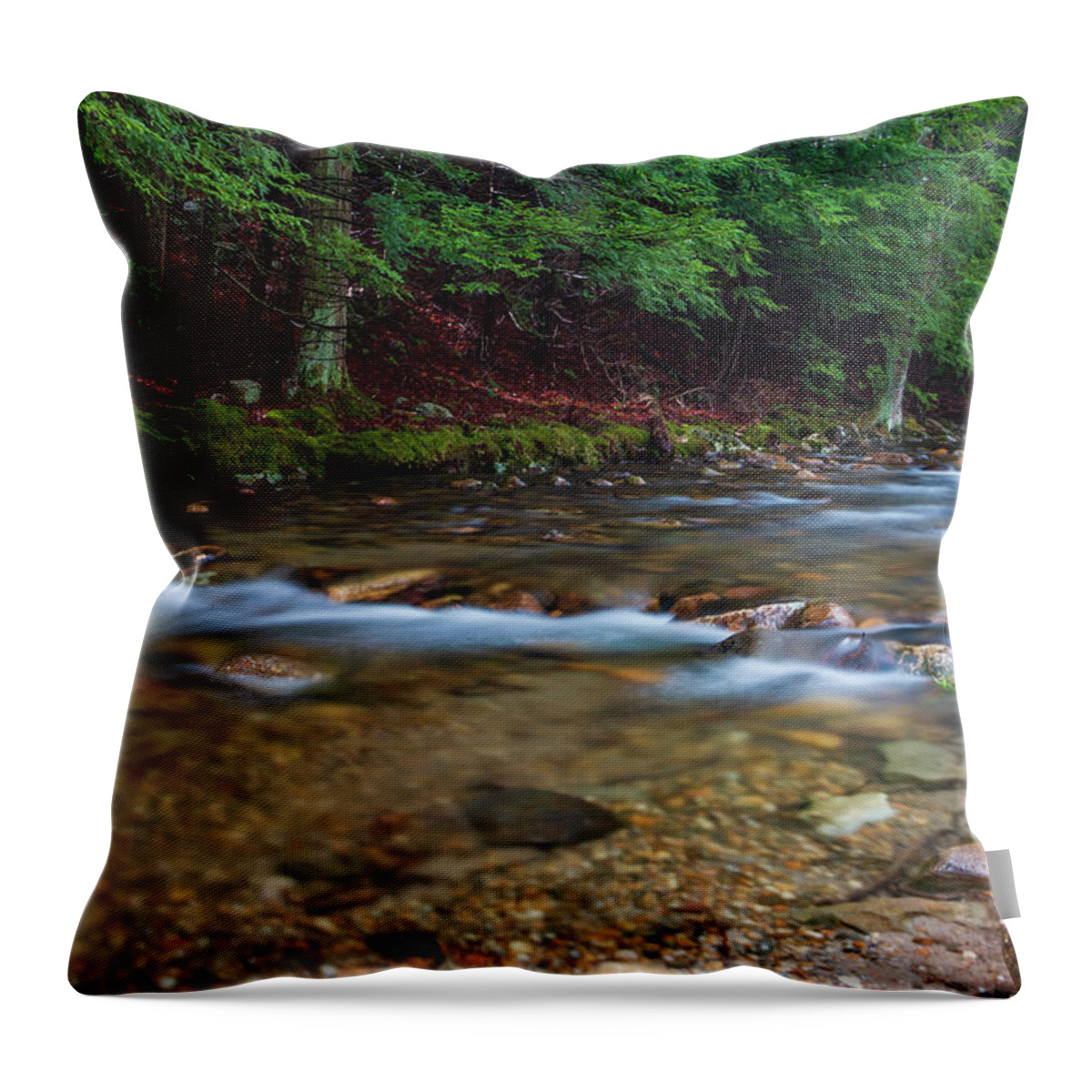 Long Exposure Throw Pillow featuring the photograph April Morning at Coxing Kill 2018 I by Jeff Severson