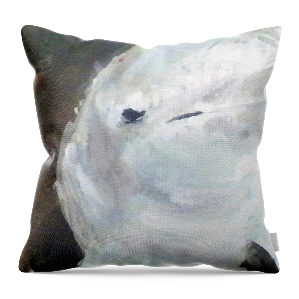 Water Outdoors Nature Ocean Travel Holidays Wildlife Throw Pillow featuring the painting Aqua by Ed Heaton