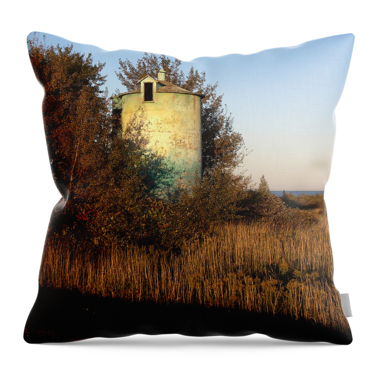 Silo Throw Pillow featuring the photograph Aqua Silo by Tim Nyberg