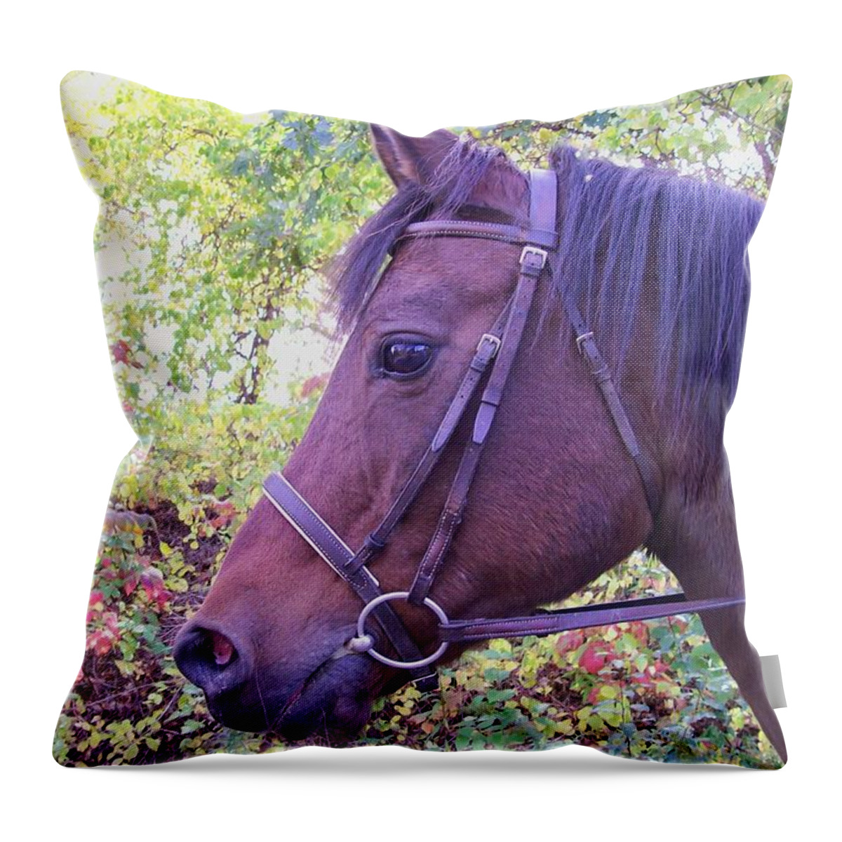 Photography Throw Pillow featuring the digital art Arabian Beauty by Barbara S Nickerson