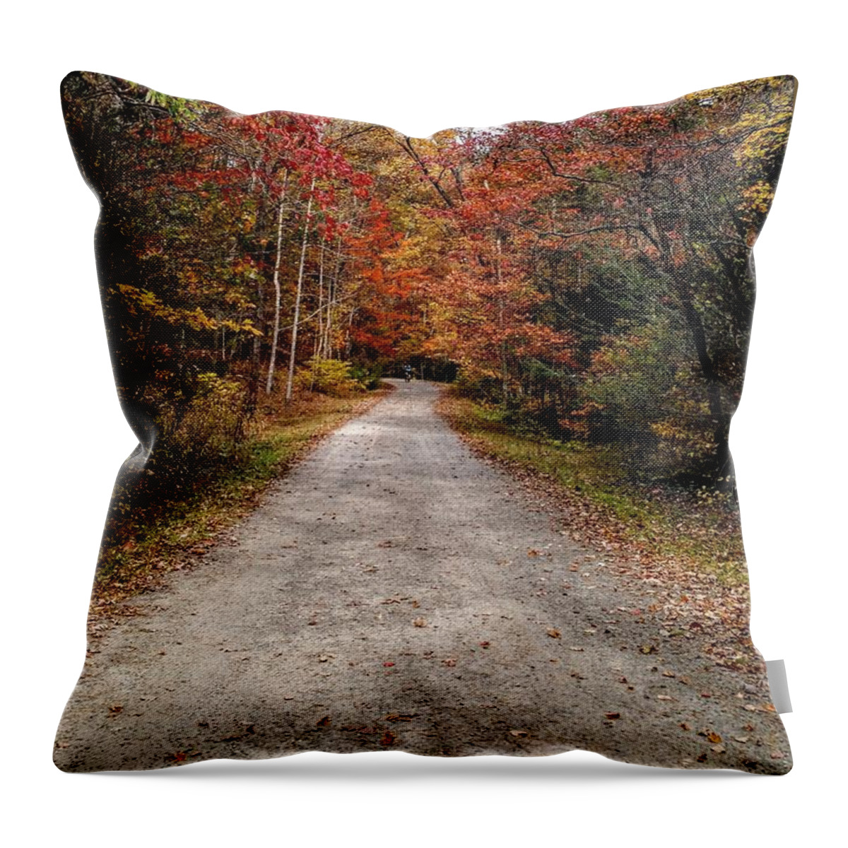 Landscape Throw Pillow featuring the photograph Arboretum Trail by Anita Adams