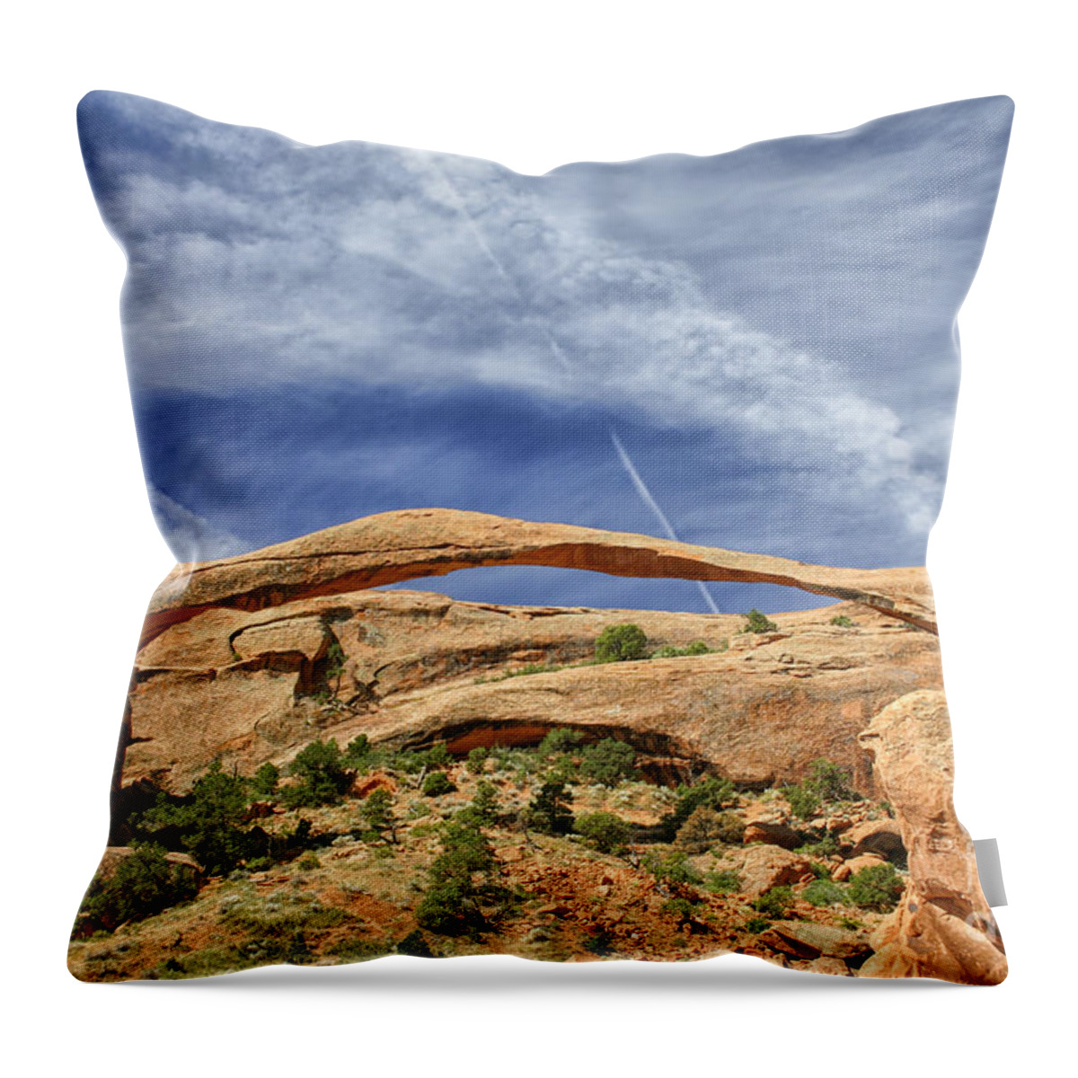 America Throw Pillow featuring the photograph Arched by Patricia Hofmeester