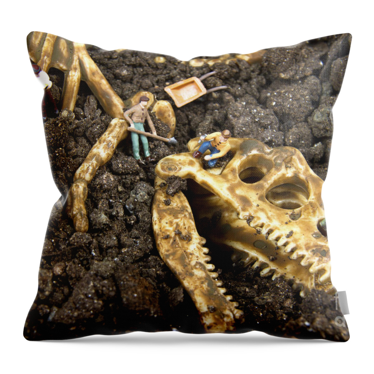 Ancient Throw Pillow featuring the photograph Archeology by Karen Foley