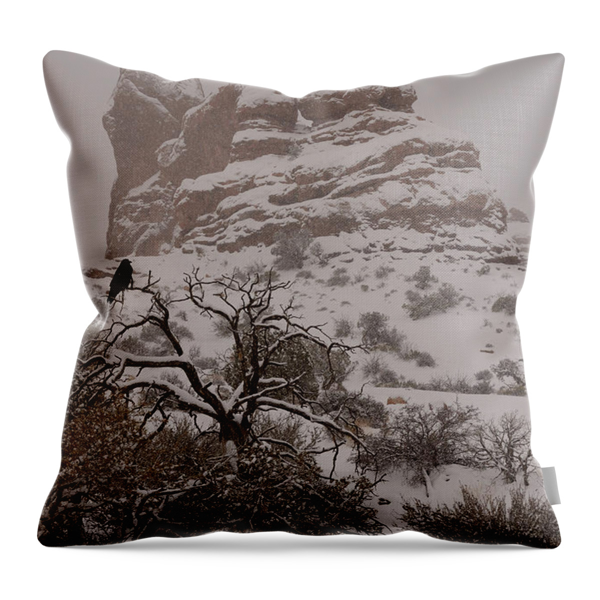 Arches Throw Pillow featuring the photograph Arches in Winter by Tranquil Light Photography