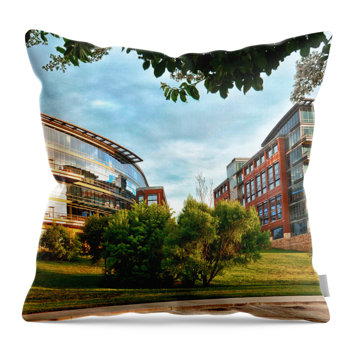 Fort Worth Throw Pillow featuring the photograph Architecture in Fort Worth by Ricardo J Ruiz de Porras