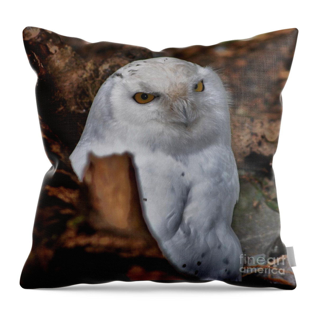 Arctic Snow Owl Throw Pillow featuring the photograph Arctic snow owl by Frank Larkin