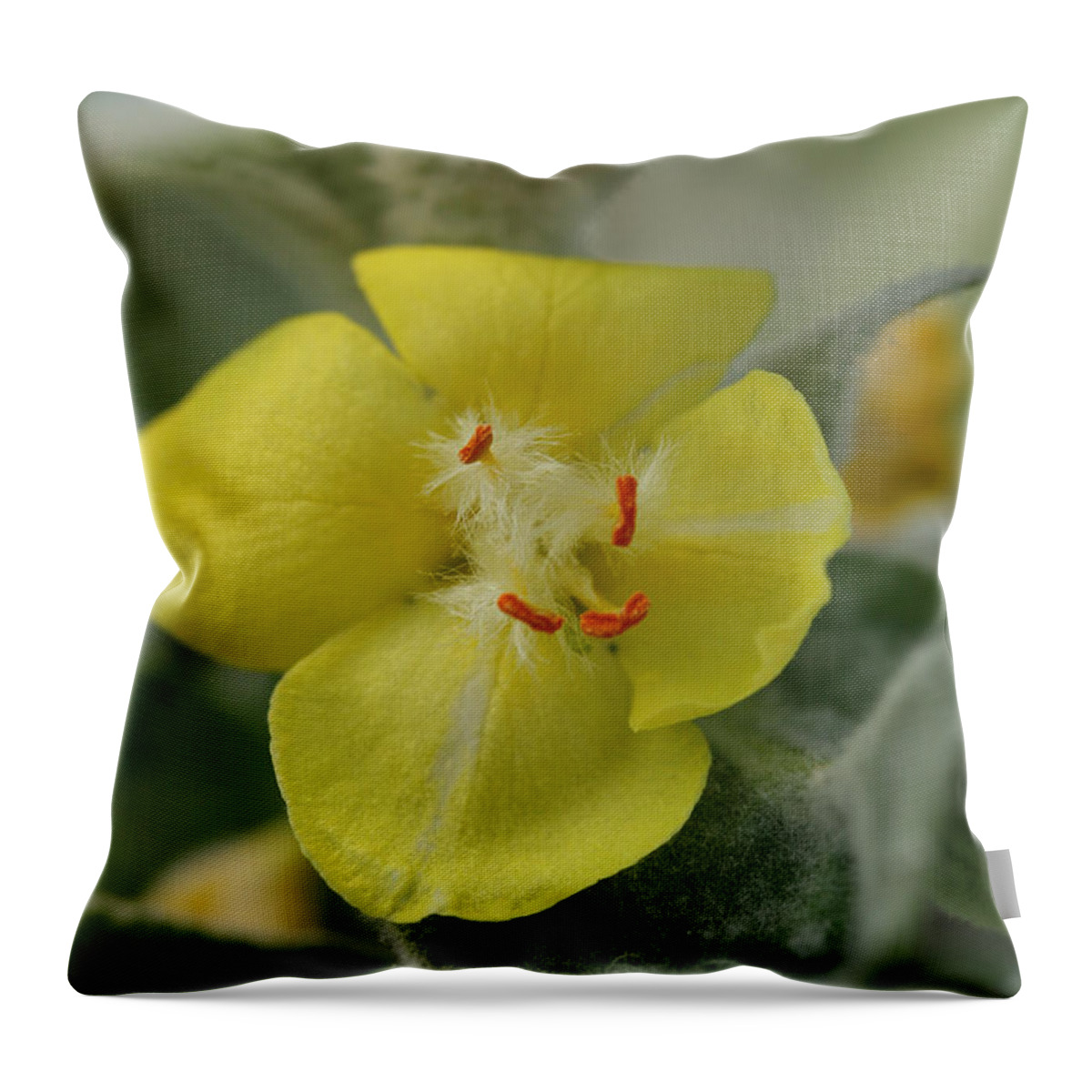 Flower Throw Pillow featuring the photograph Arctic Summer Mullein by Tammy Pool