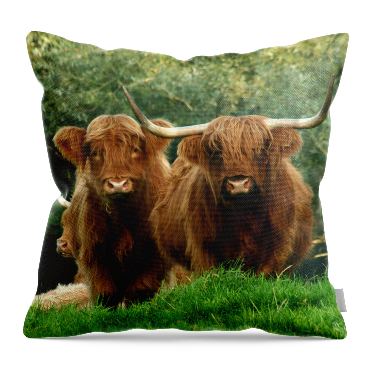 Cow Throw Pillow featuring the photograph Are You Talking To Us by Ang El