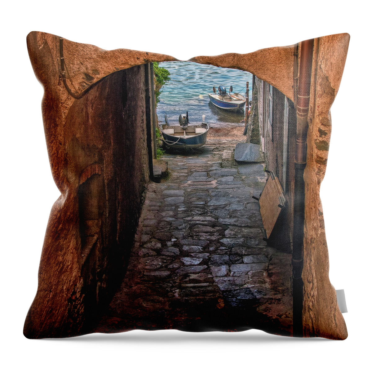 Lake Throw Pillow featuring the photograph Areaway Alley by Hanny Heim