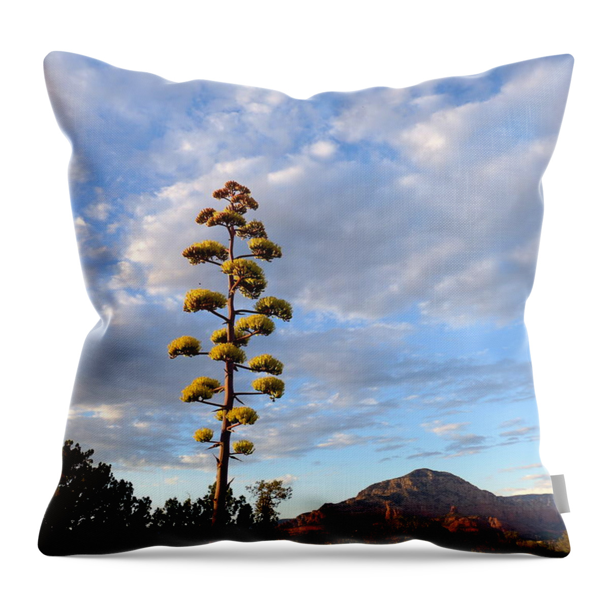 Arizona Throw Pillow featuring the photograph Arizona Century Plant in Bloom by Mars Besso