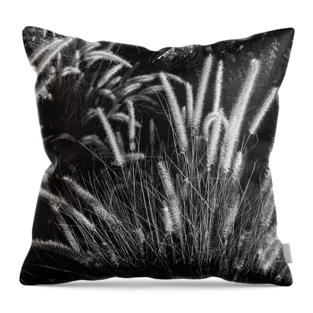 Nature Throw Pillow featuring the photograph Arizona Desert Grasses by Glenn DiPaola