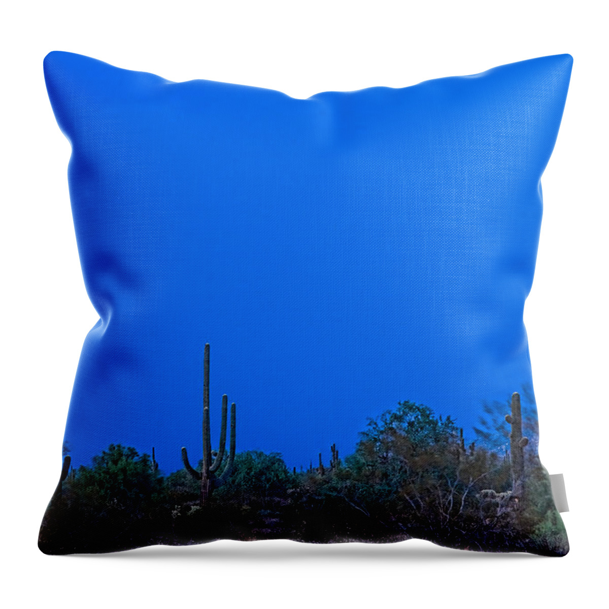 Arizona Throw Pillow featuring the photograph Arizona Desert Landscape by James BO Insogna