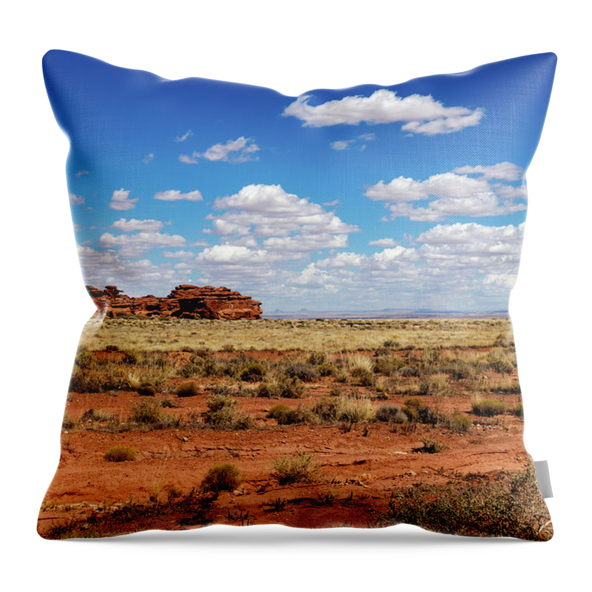 Horizontal Throw Pillow featuring the photograph Arizona by Doug Long
